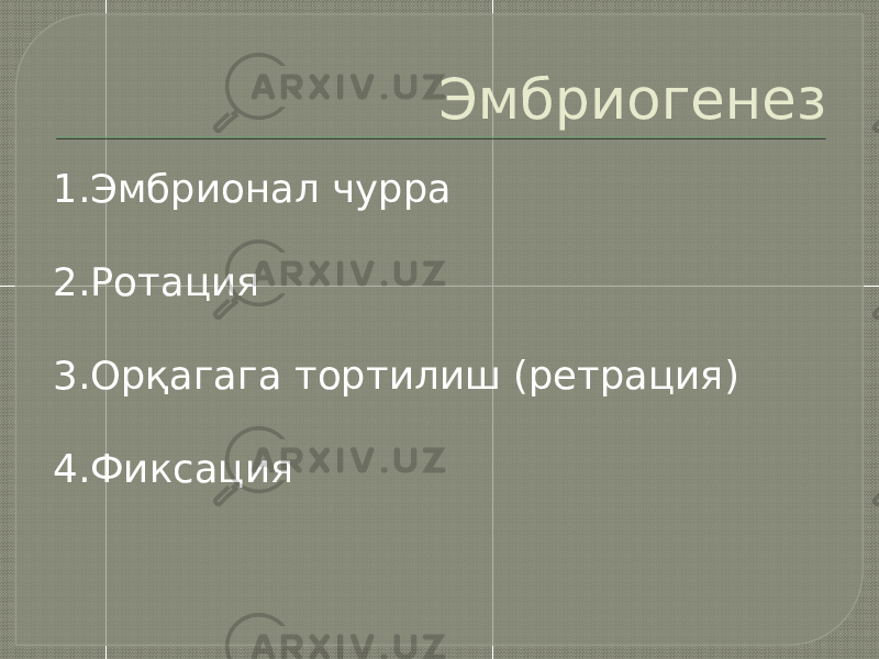 Эмбриогенез 1.Эмбрионал чурра 2.Ротация 3.Орқагага тортилиш (ретрация) 4.Фиксация 