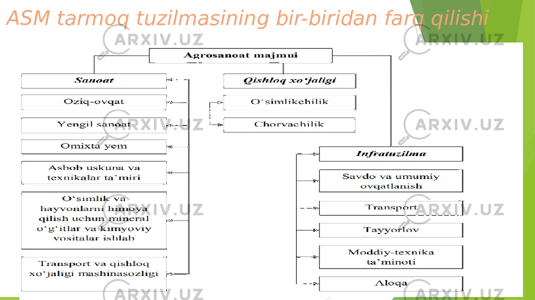 ASM tarmoq tuzilmasining bir-biridan farq qilishi 