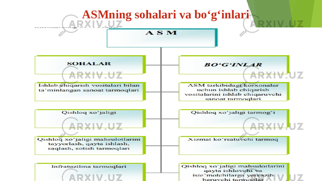 ASMning sohalari va bo‘g‘inlari 