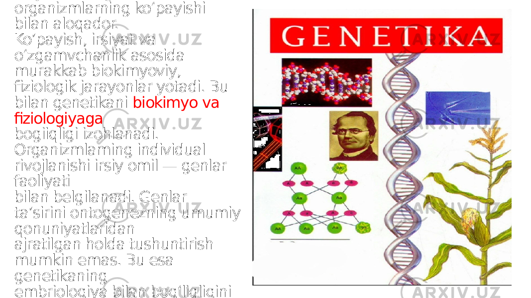 Irsiyat va o‘zgaruvchanlik organizmlarning ko‘payishi bilan aloqador. Ko’payish, irsiyat va o‘zgamvchanlik asosida murakkab biokimyoviy, fiziologik jarayonlar yotadi. Bu bilan genetikani biokimyo va fiziologiyaga bogiiqligi izohlanadi. Organizmlaming individual rivojlanishi irsiy omil — genlar faoliyati bilan belgilanadi. Genlar ta’sirini ontogenezning umumiy qonuniyatlaridan ajratilgan holda tushuntirish mumkin emas. Bu esa genetikaning embriologiya bilan bog‘liqligini ko‘rsatadi. 