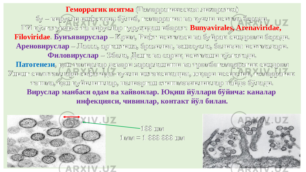 Геморрагик иситма (Геморрагическая лихоратка) бу – вирусли инфекция бўлиб, геморрагия ва кучли иситма беради. ГИ қўзғатувчи 3-та вируслар гуруҳидан иборат: Bunyavirales, Arenaviridae, Filoviridae . Бунъявируслар – Крим, Рифт иситмаси ва буйрак синдроми беради. Ареновируслар – Ласса, аргентина, бразилия, венесуела, боливия иситмалари. Филовируслар – Эбола, Денге ва сариқ иситмани қўзғатади. Патогенези , қон томирлар девори зарарланиши ва тромбогеморрагик синдром Унинг симптомлари сифатида: кучли интоксикация, юқори иссиқлик, геморрагик тошма, қон қуйилишлар, полиорган етишмовчиликлар пайдо бўлади. Вируслар манбаси одам ва хайвонлар. Юқиш йўллари бўйича: каналар инфекцияси, чивинлар, контакт йўл билан. 100 нм 1мм = 1 000 000 нм 