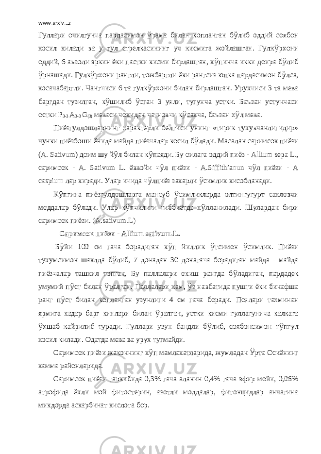 www.arxiv.uz Гуллари очилгунча пардасимон ў рама билан копланган б ў либ оддий соябон косил килади ва у гул стрелкасининг уч кисмига жойлашган. Гулк ў рхони оддий, 6 аъзоли эркин ёки пастки кисми бирлашган, к ў пинча икки доира б ў либ ў рнашади. Гулк ў рхони рангли, тожбаргли ёки рангсиз юпка пардасимон б ў лса, косачабаргли. Чангчиси 6 та гулк ў рхони билан бирлашган. Урухчиси 3 та мева баргдан тузилган, к ў шилиб ў сган 3 уяли, тугунча устки. Баъзан устунчаси остки Р 3-3 А 3-3 G (3) меваси чокидан чатновчи к ў сакча, баъзан х ў л мева. Пиёзгулдошларнинг характерли белгиси унинг «тирик тухувчанлигидир» чунки пиёзбоши ёнида майда пиёзчалар косил б ў лади. Масалан саримсок пиёзи (А. Sativum ) доим шу й ў л билан к ў паяди. Бу оилага оддий пиёз - Allium sepa L ., саримсок - A . Sativum L . ёввойи ч ў л пиёзи - A . Siffithianun ч ў л пиёзи - А caspium лар киради. Улар ичида ч ў лпиёз закарли ў симлик кисобланади. К ў пгина пиёзгулдошларга мансуб ў симликларда олтингугурт сакловчи моддалар б ў лади. Улар к ў пчилиги тиббиётда к ў лланилади. Шулардан бири саримсок пиёзи. ( A . sativum . L )   Саримсок пиёзи - Allium sativum . L .   Б ў йи 100 см гача борадиган к ў п йиллик ў тсимон ў симлик. Пиёзи тухумсимон шаклда б ў либ, 7 донадан 30 донагача борадиган майда - майда пиёзчалар ташкил топган. Бу паллалари окиш рангда б ў ладиган, пардадек умумий п ў ст билан ў ралган. Паллалари кам, ў з навбатида пушти ёки бинафша ранг п ў ст билан копланган узунлиги 4 см гача боради. Поялари тахминан ярмига кадар барг кинлари билан ў ралган, устки кисми гуллагунича калкага ў хшаб кайрилиб туради. Гуллари узун бандли б ў либ, соябонсимон т ў пгул косил килади. Одатда мева ва урух тугмайди. Саримсок пиёзи жаконнинг к ў п мамлакатларида, жумладан Ў рта Осиёнинг камма районларида. Саримсок пиёзи таркибида 0,3% гача аланин 0,4% гача эфир мойи, 0,06% атрофида ёхли мой фитостерин, азотли моддалар, фитонцидлар анчагина микдорда аскарбинат кислота бор. 