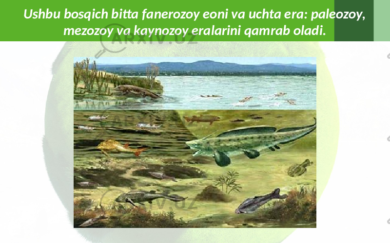 Ushbu bosqich bitta fanerozoy eoni va uchta era: paleozoy, mezozoy va kaynozoy eralarini qamrab oladi. 