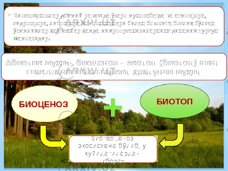 • Биогеоценозлар доимий равишда ўзаро муносабатда ва атмосфера, гидросфера, литосфера компонентлари билан бевосита боғлиқ бўлган ўсимликлар ҳайвонлар ҳамда микроорганизмларнинг динамик турғун жамоасидир. Абиотик муҳит, биоценоз – экотоп (биотоп) нинг шаклланишига шароит яратувчи муҳит Биогеоценоз экосистема бўлиб, у қуйидагилардан иборат 