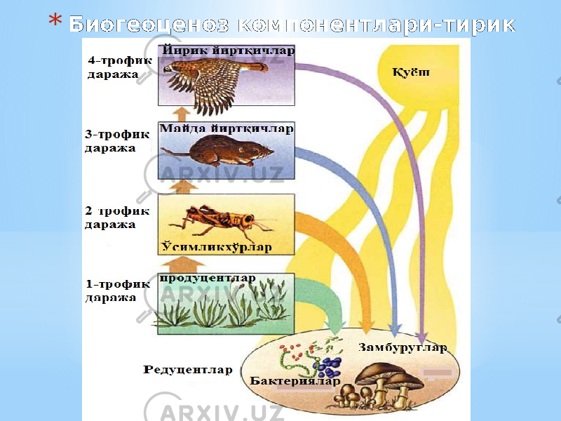 * Биогеоценоз компонентлари-тирик организмлар 