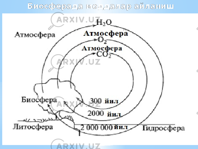 Биосферада моддалар айланиш суръати 