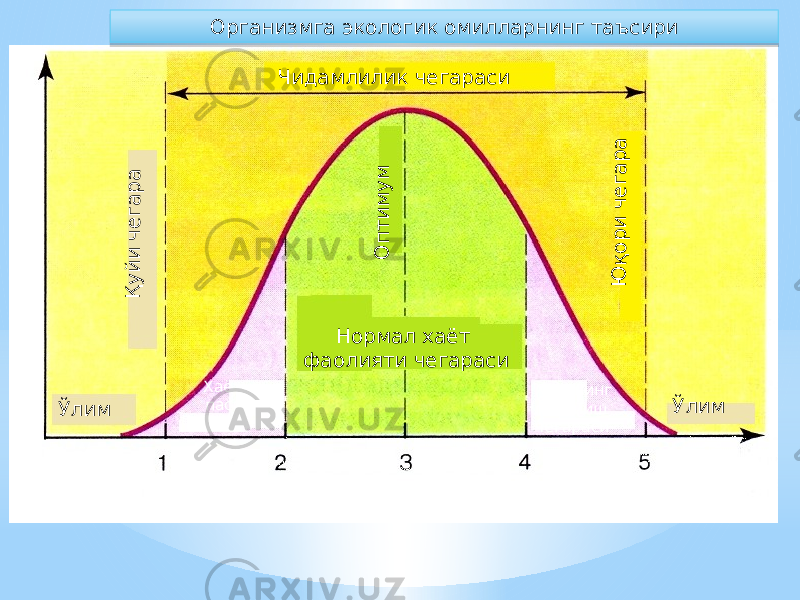 О м и л н и н г ф о й д а л и д а р а ж а си Қ у й и ч е га р а О п т и м у м Ю қ о р и ч е га р аЧидамлилик чегараси Нормал хаёт фаолияти чегараси Хаётнинг пасайиш чегараси Ўлим Ўлим Омилнинг интенсивлигиОрганизмга экологик омилларнинг таъсири Хаётнинг пасайиш чегараси 01 