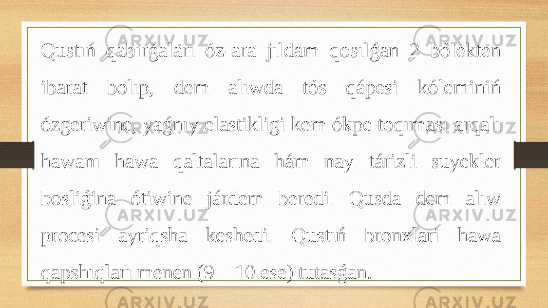 Qustıń qabırǵaları óz-ara jıldam qosılǵan 2 bólekten ibarat bolıp, dem alıwda tós qápesi kóleminiń ózgeriwine, yaǵnıy elastikligi kem ókpe toqıması arqalı hawanı hawa qaltalarına hám nay tárizli suyekler bosliǵina ótiwine járdem beredi. Qusda dem alıw procesi ayriqsha keshedi. Qustıń bronxlari hawa qapshıqları menen (9—10 ese) tutasǵan. 