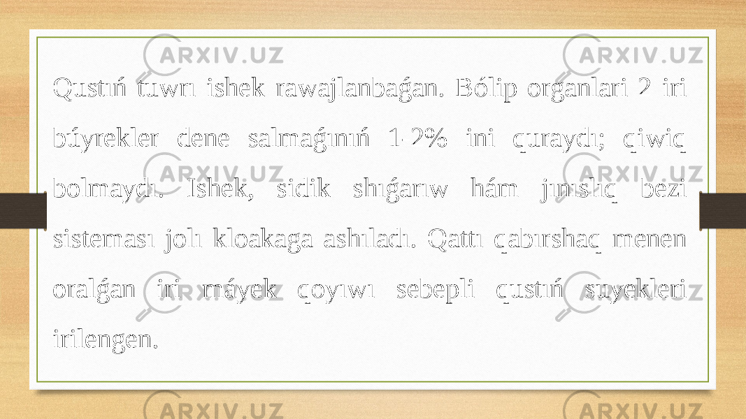 Qustıń tuwrı ishek rawajlanbaǵan. Bólip organlari 2 iri búyrekler dene salmaǵınıń 1-2% ini quraydı; qiwiq bolmaydı. Ishek, sidik shıǵarıw hám jınıslıq bezi sisteması jolı kloakaga ashıladı. Qattı qabırshaq menen oralǵan iri máyek qoyıwı sebepli qustıń suyekleri irilengen. 