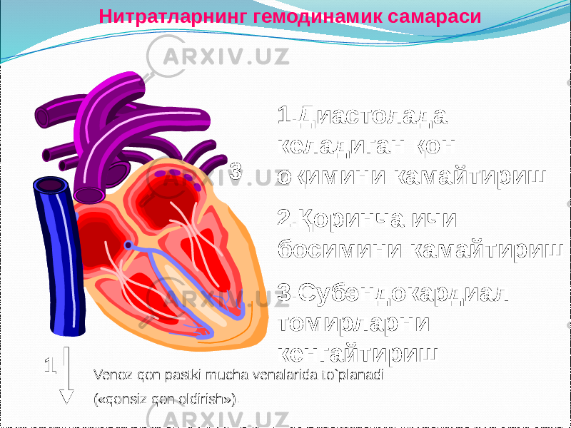 Нитратларнинг гемодинамик самараси 1.Диастолада келадиган қон оқимини камайтириш 2.Қоринча ичи босимини камайтириш 3.Субэндокардиал томирларни кенгайтириш 1 2 3 Venoz qon pastki mucha venalarida to`planadi («qonsiz qon oldirish»). 