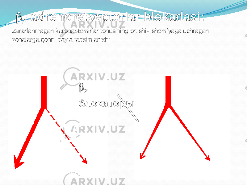  2 - блокаторы  2 -adrenoretseptorlar blokadasi: Zararlanmagan koronar tomirlar tonusining ortishi- ishemiyaga uchragan zonalarga qonni qayta taqsimlanishi 