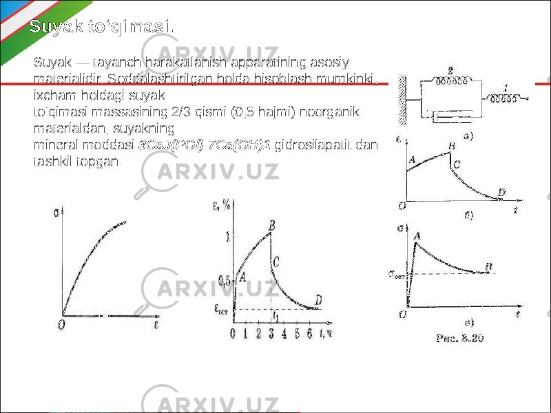 Suyak to‘qimasi. Suyak — tayanch harakatlanish apparatining asosiy materialidir. Soddalashtirilgan holda hisoblash mumkinki, ixcham holdagi suyak to‘qimasi massasining 2/3 qismi (0,5 hajmi) noorganik materialdan, suyakning mineral moddasi 3CaJ(POl) 7Ca(OH)1 gidrosilapatit dan tashkil topgan. 