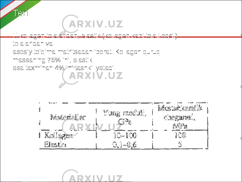 Teri. U kollagen tolalaridan, elastik (kollagen kabi tolali oqsil) tolalaridan va asosiy to‘qima matritsadan iborat. Kollagen quruq massaning 75% ini, elastik esa taxminan 4% ini tashkil yetadi. 