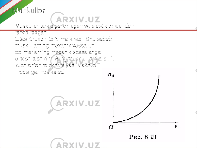 Muskullar. Muskullar tarkibiga kollagen va elastik tolalaridan tarkib topgan tutashtiruvchi to ‘qima kiradi. Shu sababli muskullarning mexanik xossalari polimerlarning mexanik xossalariga o ‘x sh a sh d ir. Silliq musk u llard a s , L kuchlanish releksatsiyasi Maksvell modeliga mos keladi 