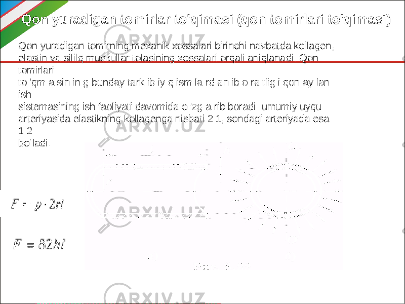 Qon yuradigan tomirlar to&#39;qimasi (qon tomirlari to&#39;qimasi) Qon yuradigan tomirning mexanik xossalari birinchi navbatda kollagen, elastin va sililq muskullar tolasining xossalari orqali aniqlanadi. Qon tomirlari to &#39;qm a sin in g bunday tark ib iy q ism la rd an ib o ra tlig i qon ay lan ish sistemasining ish faoliyati davomida o &#39;zg a rib boradi: umumiy uyqu arteriyasida elastikning kollagenga nisbati 2:1, sondagi arteriyada esa 1:2 bo‘Iadi. 