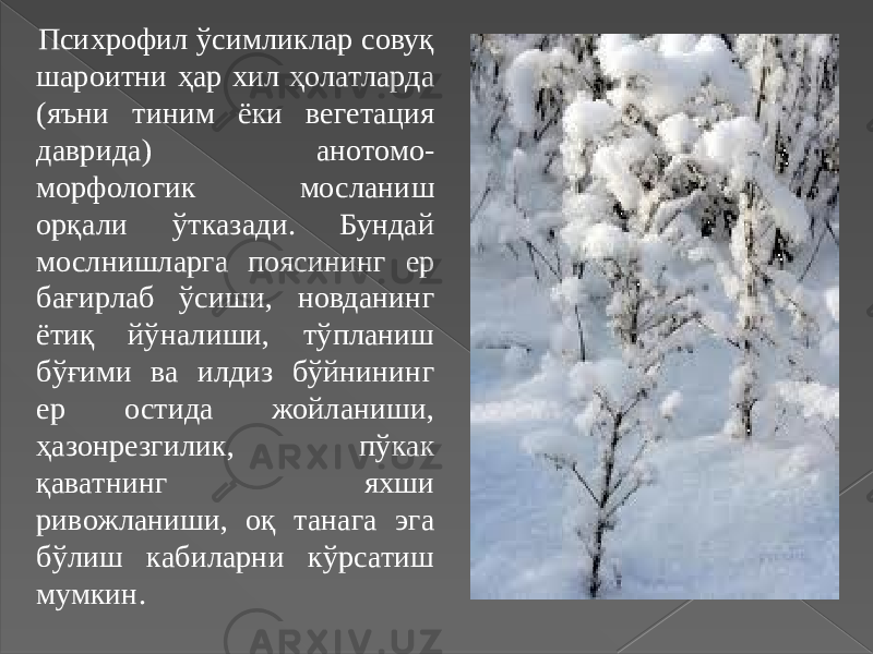 Психрофил ўсимликлар совуқ шароитни ҳар хил ҳолатларда (яъни тиним ёки вегетация даврида) анотомо- морфологик мосланиш орқали ўтказади. Бундай мослнишларга поясининг ер бағирлаб ўсиши, новданинг ётиқ йўналиши, тўпланиш бўғими ва илдиз бўйнининг ер остида жойланиши, ҳазонрезгилик, пўкак қаватнинг яхши ривожланиши, оқ танага эга бўлиш кабиларни кўрсатиш мумкин. 