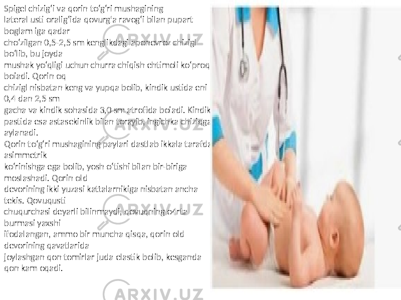 Spigel chizig‘i va qorin to‘g‘ri mushagining lateral usti oralig‘ida qovurg&#39;a ravog‘i bilan pupart boglam iga qadar cho‘zilgan 0,5-2,5 sm kenglikdagi aponevroz chizigl bo‘lib, bu joyda mushak yo‘qligi uchun churra chiqish ehtimoli ko‘proq boiadi. Qorin oq chizigl nisbatan keng va yupqa bolib, kindik ustida eni 0,4 dan 2,5 sm gacha va kindik sohasida 3,0 sm atrofida boiadi. Kindik pastida esa astasekinlik bilan torayib, ingichka chiziqga aylanadi. Qorin to‘g‘ri mushagining paylari dastlab ikkala tarafda asimmetrik ko‘rinishga ega bolib, yosh o‘tishi bilan bir-biriga moslashadi. Qorin old devorining ikki yuzasi kattalarnikiga nisbatan ancha tekis. Qovuqusti chuqurchasi deyarli bilinmaydi, qovuqning o4rta burmasi yaxshi ifodalangan, ammo bir muncha qisqa, qorin old devorining qavatlarida joylashgan qon tomirlar juda elastik bolib, kesganda qon kam oqadi. 