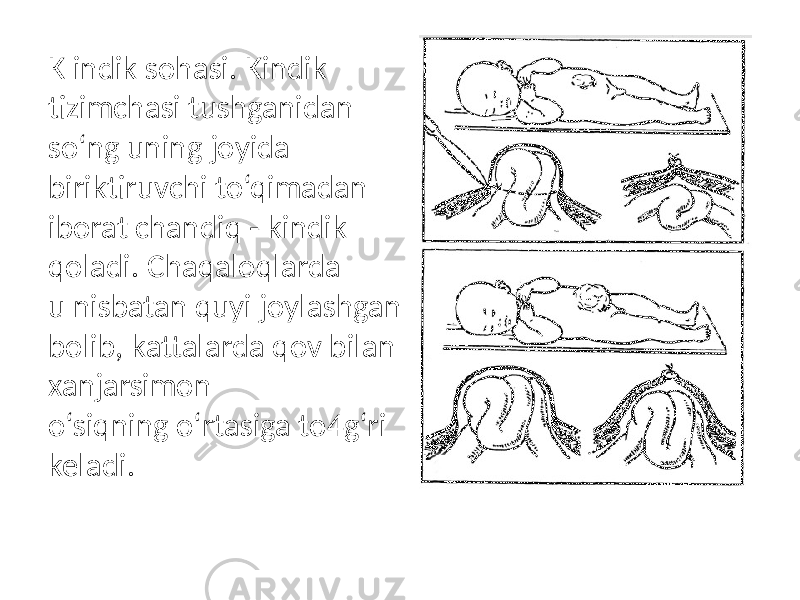 K indik sohasi. Kindik tizimchasi tushganidan so‘ng uning joyida biriktiruvchi to‘qimadan iborat chandiq - kindik qoladi. Chaqaloqlarda u nisbatan quyi joylashgan bolib, kattalarda qov bilan xanjarsimon o‘siqning o‘rtasiga to4g‘ri keladi. 