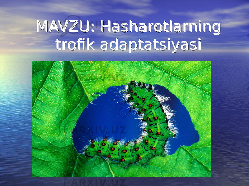 MAVZU: Hasharotlarning MAVZU: Hasharotlarning trofik adaptatsiyasitrofik adaptatsiyasi 