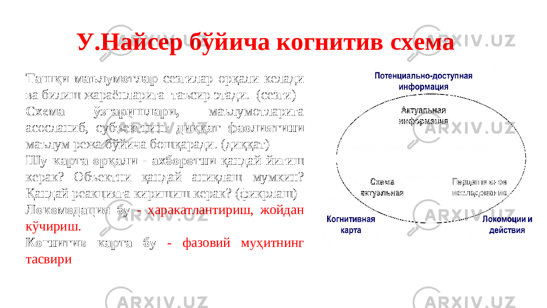 У.Найсер бўйича когнитив схема Ташқи маълумотлар сезгилар орқали келади ва билиш жараёнларига таъсир этади. (сезги) Схема ўзгаришлари, маълумотларига асосланиб, субъектнинг диққат фаолиятини маълум режа бўйича бошқаради. (диққат) Шу карта орқали - ахборотни қандай йиғиш керак? Oбъектни қандай аниқлаш мумкин? Қандай реакцияга киришиш керак? (фикрлаш) Локомодация бу - ҳаракатлантириш, жойдан кўчириш. Когнитив карта бу - фазовий муҳитнинг тасвири 