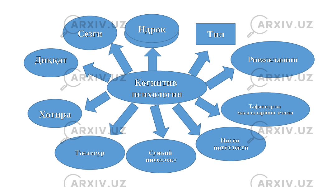 Когнитив психология Идрок Идрок Тил Ривожланиш Тафаккур ва масалаларнинг ечими Инсон интеллекти Сунъий интеллект Тасаввур Сезги Диққат Хотира 