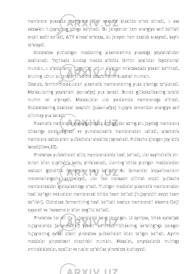 membrana yuzasida membrana bilan vakuola shaklida o’rab olinadi, u esa astasekin hujayraning ichiga ko’chadi. Bu jarayonlar ham energiya sarf bo’lishi orqali sodir bo’ladi, ATF sintezi to’xtasa, bu jarayon ham dastlab susayadi, keyin to’xtaydi. Endotsitoz yutiladigan moddaning plazmolemma yuzasiga yopishishidan boshlanadi. Tajribada bunday modda sifatida ferritin oqsilidan foydalanish mumkin, u o’zida temir tutganligi uchun elektron mikroskopda yaxshi ko’rinadi, shuning uchun bu jarayonni barcha bosqichlarini kuzatish mumkin. Dastlab, ferritin molekulalari plazmatik membrananing yuza qismiga to’planadi. Molekulaning yopishishi ( sorbsiya) yuz beradi. Bunda gilikokaliksning tarkibi muhim rol o’ynaydi. Molekulalar ular yordamida membranaga o’tiradi. Endotsitozning dastlabki bosqichi (adsorbsiya) hujayra tomonidan energiya sarf qilinmay yuz beradi. Plazmatik membrana yuzasiga modda o’tirgandan so’ng shu joydagi membrana ichkariga qarab egiladi va yumaloqlashib membranadan uziladi, plazmatik membrana ostida erkin pufakchalar shaklida joylashadi. Pufakcha ajralgan joy bitib ketadi(ilova,10). Pinotsitoz pufakchalari silliq membranalarda hosil bo’ladi, ular keyinchalik bir- birlari bilan quyilishib ketib, yiriklashadi, ularning ichida yutilgan moddalardan tashqari gidrolitik fermentlar hosil bo’ladi. Bu fermentlar biopolimerlarni monomerlargacha parchalaydi, ular faol transport qilinish orqali pufakcha membranasidan gialoplazmaga o’tadi. Yutilgan moddalar plazmatik membranadan hosil bo’lgan vakuolalar membranasi ichida hazm bo’ladi (hujayraichi ovqat hazm bo’lishi). Gidrolaza fermentining hosil bo’lishi boshqa membranali sistema-Golji apparati va lizosomalar bilan bog’liq bo’ladi. Pinotsitoz har xil tip hujayralarda keng tarqalgan. U ayniqsa, ichak epiteliysi hujayralarida (enterotsitlar) yaxshi ko’rinadi. Ichakning bo’shlig’iga qaragan hujayraning apikal qismi pinotsitoz pufakchalari bilan to’lgan bo’ladi. Ayrim moddalar pinotsitozni chaqirishi mumkin. Masalan, amyobalarda muhitga aminokislotalar, oqsillar va tuzlar qo’shilsa pinotsitoz kuchayadi. 