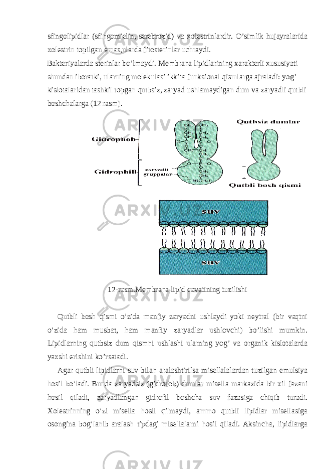 sfingolipidlar (sfingomielin, serebrozid) va xolestrinlardir. O’simlik hujayralarida xolestrin topilgan emas,ularda fitosterinlar uchraydi. Bakteriyalarda sterinlar bo’lmaydi. Membrana lipidlarining xarakterli xususiyati shundan iboratki, ularning molekulasi ikkita funksional qismlarga ajraladi: yog’ kislotalaridan tashkil topgan qutbsiz, zaryad ushlamaydigan dum va zaryadli qutbli boshchalarga (12 rasm). 12-rasm.Membrana lipid qavatining tuzilishi Qutbli bosh qismi o’zida manfiy zaryadni ushlaydi yoki neytral (bir vaqtni o’zida ham musbat, ham manfiy zaryadlar ushlovchi) bo’lishi mumkin. Lipidlarning qutbsiz dum qismni ushlashi ularning yog’ va organik kislotalarda yaxshi erishini ko’rsatadi. Agar qutbli lipidlarni suv bilan aralashtirilsa misellalalardan tuzilgan emulsiya hosil bo’ladi. Bunda zaryadsiz (gidrofob) dumlar misella markazida bir xil fazani hosil qiladi, zaryadlangan gidrofil boshcha suv fazasiga chiqib turadi. Xolestrinning o’zi misella hosil qilmaydi, ammo qutbli lipidlar misellasiga osongina bog’lanib aralash tipdagi misellalarni hosil qiladi. Aksincha, lipidlarga 