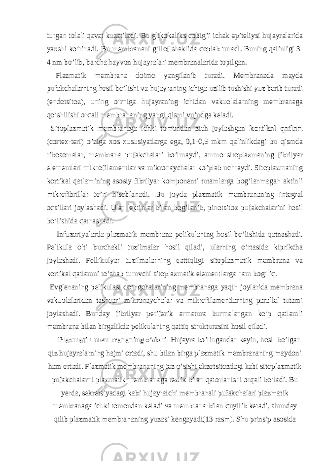 turgan tolali qavat kuzatiladi. Bu glikokaliks qobig’i ichak epiteliysi hujayralarida yaxshi ko’rinadi. Bu membranani g’ilof shaklida qoplab turadi. Buning qalinligi 3- 4 nm bo’lib, barcha hayvon hujayralari membranalarida topilgan. Plazmatik membrana doimo yangilanib turadi. Membranada mayda pufakchalarning hosil bo’lishi va hujayraning ichiga uzilib tushishi yuz berib turadi (endotsitoz), uning o’rniga hujayraning ichidan vakuolalarning membranaga qo’shilishi orqali membrananing yangi qismi vujudga keladi. Sitoplazmatik membranaga ichki tomondan zich joylashgan kortikal qatlam (cortex-teri) o’ziga xos xususiyatlarga ega, 0,1-0,5 mkm qalinlikdagi bu qismda ribosomalar, membrana pufakchalari bo’lmaydi, ammo sitoplazmaning fibrilyar elementlari-mikrofilamentlar va mikronaychalar ko’plab uchraydi. Sitoplazmaning kortikal qatlamining asosiy fibrilyar komponenti tutamlarga bog’lanmagan aktinli mikrofibrillar to’ri hisoblanadi. Bu joyda plazmatik membrananing integral oqsillari joylashadi. Ular lektinlar bilan bog’lanib, pinotsitoz pufakchalarini hosil bo’lishida qatnashadi. Infuzoriyalarda plazmatik membrana pelikulaning hosil bo’lishida qatnashadi. Pelikula olti burchakli tuzilmalar hosil qiladi, ularning o’rtasida kiprikcha joylashadi. Pellikulyar tuzilmalarning qattiqligi sitoplazmatik membrana va kortikal qatlamni to’shab turuvchi sitoplazmatik elementlarga ham bog’liq. Evglenaning pelikulasi do’ngchalarining membranaga yaqin joylarida membrana vakuolalaridan tashqari mikronaychalar va mikrofilamentlarning parallel tutami joylashadi. Bunday fibrilyar periferik armatura burmalangan ko’p qatlamli membrana bilan birgalikda pelikulaning qattiq strukturasini hosil qiladi. Plazmatik membrananing o’sishi. Hujayra bo’lingandan keyin, hosil bo’lgan qiz hujayralarning hajmi ortadi, shu bilan birga plazmatik membrananing maydoni ham ortadi. Plazmatik membrananing tez o’sishi ekzotsitozdagi kabi sitoplazmatik pufakchalarni plazmatik membranaga tezlik bilan qatorlanishi orqali bo’ladi. Bu yerda, sekretsiyadagi kabi hujayraichi membranali pufakchalari plazmatik membranaga ichki tomondan keladi va membrana bilan quyilib ketadi, shunday qilib plazmatik membrananing yuzasi kengayadi(13 rasm). Shu prinsip asosida 