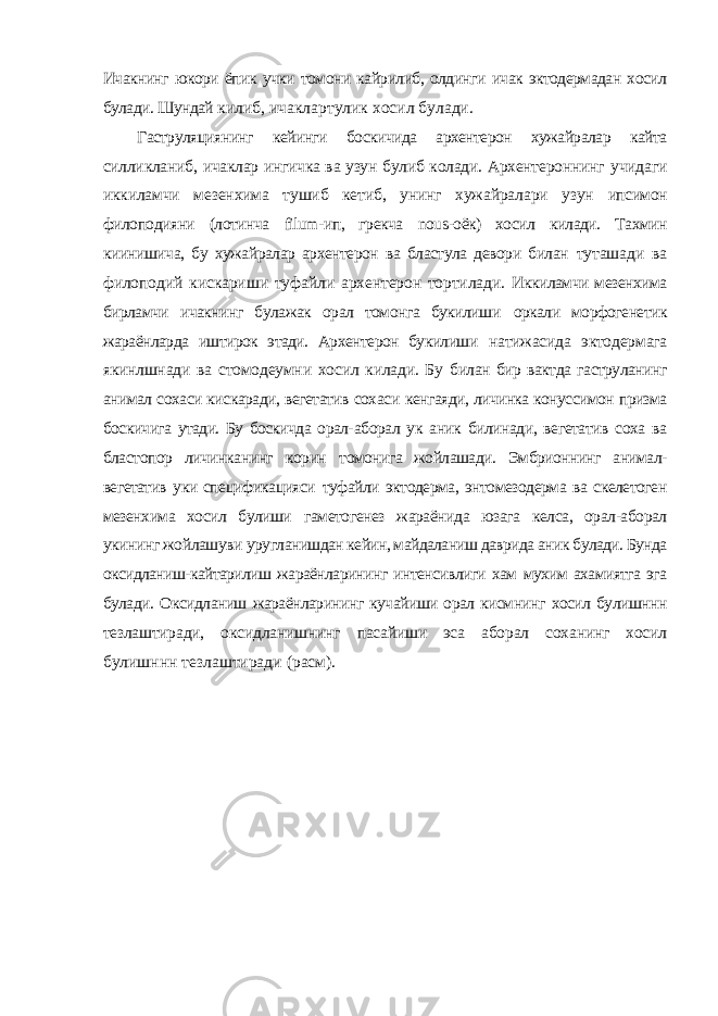 Ичакнинг юкори ёпик учки томони кайрилиб, олдинги ичак эктодермадан хосил булади. Шундай килиб, ичаклартулик хосил булади. Гаструляциянинг кейинги боскичида архентерон хужайралар кайта силликланиб, ичаклар ингичка ва узун булиб колади. Архентероннинг учидаги иккиламчи мезенхима тушиб кетиб, унинг хужайралари узун ипсимон филоподияни (лотинча filum -ип, грекча nous -оёк) хосил килади. Тахмин киинишича, бу хужайралар архентерон ва бластула девори билан туташади ва филоподий кискариши туфайли архентерон тортилади. Иккиламчи мезенхима бирламчи ичакнинг булажак орал томонга букилиши оркали морфогенетик жараёнларда иштирок этади. Архентерон букилиши натижасида эктодермага якинлшнади ва стомодеумни хосил килади. Бу билан бир вактда гаструланинг анимал сохаси кискаради, вегетатив сохаси кенгаяди, личинка конуссимон призма боскичига утади. Бу боскичда орал- аборал ук аник билинади, вегетатив соха ва бластопор личинканинг корин томонига жойлашади. Эмбрионнинг анимал- вегетатив уки спецификацияси туфайли эктодерма, энтомезодерма ва скелетоген мезенхима хосил булиши гаметогенез жараёнида юзага келса, орал-аборал укининг жойлашуви уругланишдан кейин, майдаланиш даврида аник булади. Бунда оксидланиш-кайтарилиш жараёнларининг интенсивлиги хам мухим ахамиятга эга булади. Оксидланиш жараёнларининг кучайиши орал кисмнинг хосил булишннн тезлаштиради, оксидланишнинг пасайиши эса аборал соханинг хосил булишннн тезлаштиради (расм). 