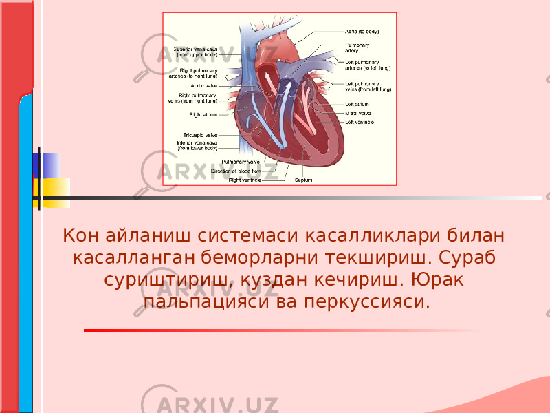 Кон айланиш системаси касалликлари билан касалланган беморларни текшириш. Сураб суриштириш, куздан кечириш. Юрак пальпацияси ва перкуссияси. 