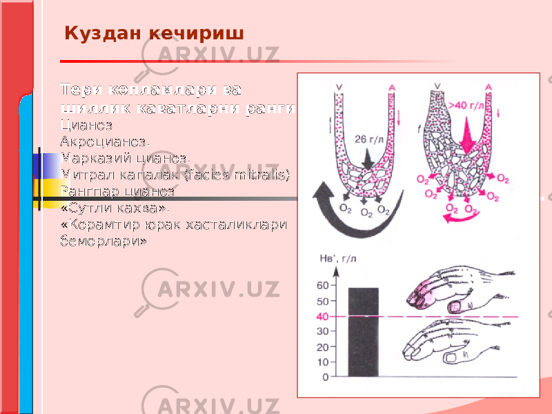 Тери копламлари ва шиллик каватларни ранги Цианоз Акроцианоз. Марказий цианоз. Митрал капалак (facies mitralis) Рангпар цианоз «Сутли кахва». «Корамтир юрак хасталиклари беморлари» Куздан кечириш 