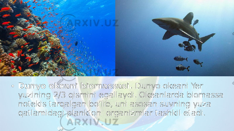 • Dunyo okeani biomassasi. Dunyo okeani Yer yuzining 2/3 qismini egallaydi. Okeanlarda biomassa notekis tarqalgan bo‘lib, uni asosan suvning yuza qatlamidagi plankton organizmlar tashkil etadi. 