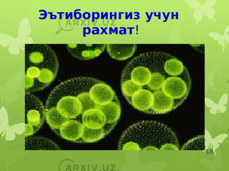 18Эътиборингиз учун рахмат ! 