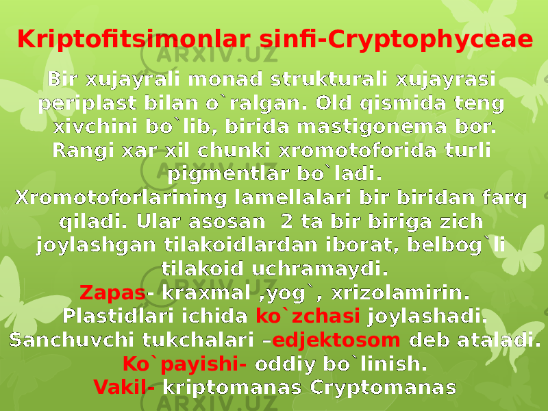 Kriptofitsimonlar sinfi-Cryptophyceae Bir xujayrali monad strukturali xujayrasi periplast bilan o`ralgan. Old qismida teng xivchini bo`lib, birida mastigonema bor. Rangi xar xil chunki xromotoforida turli pigmentlar bo`ladi. Xromotoforlarining lamellalari bir biridan farq qiladi. Ular asosan 2 ta bir biriga zich joylashgan tilakoidlardan iborat, belbog`li tilakoid uchramaydi. Zapas - kraxmal ,yog`, xrizolamirin. Plastidlari ichida ko`zchasi joylashadi. Sanchuvchi tukchalari – edjektosom deb ataladi. Ko`payishi- oddiy bo`linish. Vakil- kriptomanas Cryptomanas 