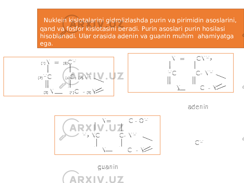 (1) N = (6) CH (2) HC (5) C- (7) NH (8) CH (3) N (4) C - (9) N purin N = CNH 2 HC C- NH CH N C - N adenin N= C - OH H 2 NC C- NH CH N C - N guanin Nuklein kislotalarini gidrolizlashda purin va pirimidin asoslarini, qand va fosfor kislotasini beradi. Purin asoslari purin hosilasi hisoblanadi. Ular orasida adenin va guanin muhim ahamiyatga ega. 