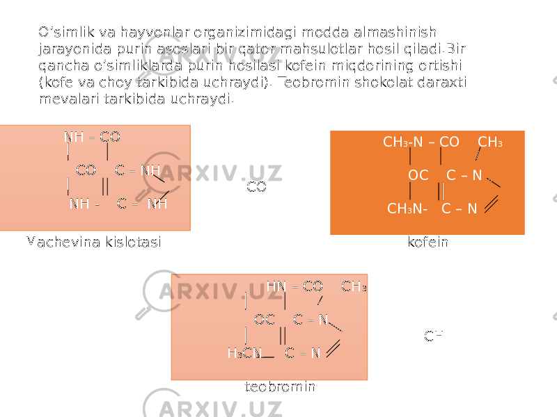NH – CO CO C – NH CO NH - C – NH Machevina kislotasi CH 3 -N – CO CH 3 OC C – N CH CH 3 N- C – N kofein HN – CO CH 3 OC C – N CH H 3 CN C – N teobrominO’simlik va hayvonlar organizimidagi modda almashinish jarayonida purin asoslari bir qator mahsulotlar hosil qiladi.Bir qancha o’simliklarda purin hosilasi kofein miqdorining ortishi (kofe va choy tarkibida uchraydi). Teobromin shokolat daraxti mevalari tarkibida uchraydi. 