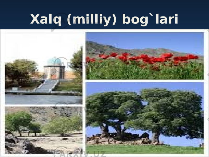 Xalq (milliy) bog`lari 