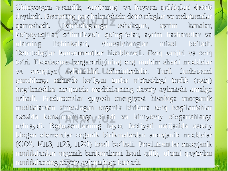 Chiriyotgan o‘simlik, zamburug‘ va hayvon qoldiqlari detrit deyiladi. Detritning parchalanishida detritofaglar va redutsentlar qatnashadi. Detritofaglarga eshakqurt, ayrim kanalar, ko‘poyoqlilar, o‘limtikxo‘r qo‘ng‘izlar, ayrim hasharotlar va ularning lichinkalari, chuvalchanglar misol bo‘ladi. Detritofaglar konsumentlar hisoblanadi. Oziq zanjiri va oziq to‘ri. Ekosistema bargarorligining eng muhim sharti moddalar va energiya aylanishini ta’minlashdir. Turli funksional guruhlarga mansub bo‘lgan turlar o‘rtasidagi trofik (oziq) bog‘lanishlar natijasida moddalarning davriy aylanishi amalga oshadi. Produtsentlar quyosh energiyasi hisobiga anorganik moddalardan sintezlagan organik birikma oziq bog‘lanishlar asosida konsumentlarga o‘tadi va kimyoviy o‘zgarishlarga uchraydi. Redutsentlarning hayot faoliyati natijasida asosiy biogen elementlar organik birikmalardan anorganik moddalar (CO2, NH3, H2S, H2O) hosil bo‘ladi. Produtsentlar anorganik moddalardan organik birikmalarni hosil qilib, ularni qaytadan moddalarning davriy aylanishiga kiritadi. 