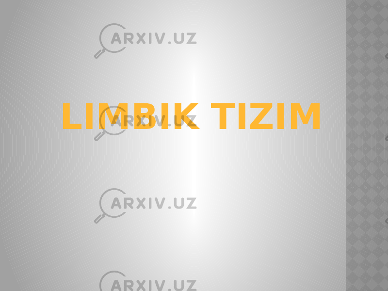 LIMBIK TIZIM 