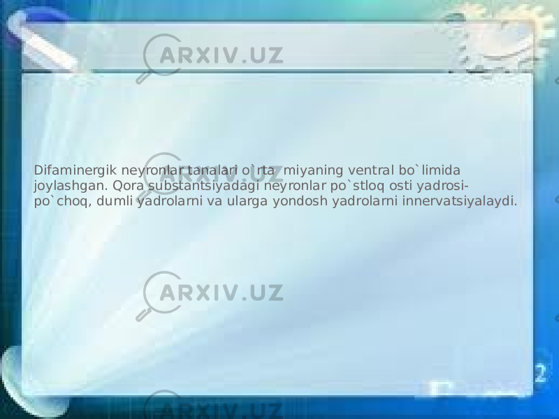 Difaminergik neyronlar tanalari o`rta miyaning ventral bo`limida joylashgan. Qora substantsiyadagi neyronlar po`stloq osti yadrosi- po`choq, dumli yadrolarni va ularga yondosh yadrolarni innervatsiyalaydi. 