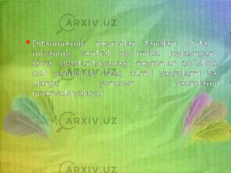  Difaminergik neyronlar tanalari o`rta miyaning ventral bo`limida joylashgan. Qora substantsiyadagi neyronlar po`stloq osti yadrosi-po`choq, dumli yadrolarni va ularga yondosh yadrolarni innervatsiyalaydi. 