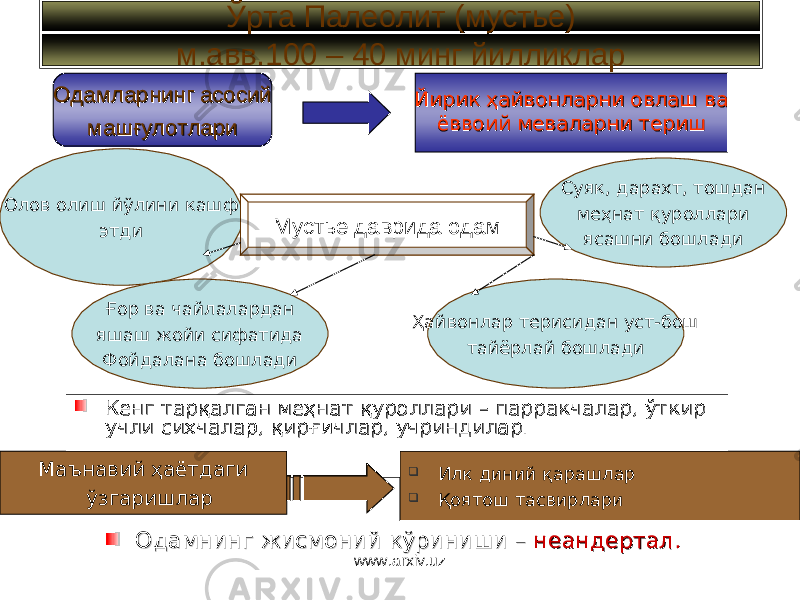 Ўрта Палеолит (мустье) м.авв. 100 – 40 минг йилликлар Олов олиш йўлини кашф этди Кенг тарқалган меҳнат қуроллариКенг тарқалган меҳнат қуроллари – – парракчалар, ўткир парракчалар, ўткир учли сихчалар, қирғичлар, учриндилар.учли сихчалар, қирғичлар, учриндилар. Маънавий ҳаётдаги ўзгаришлар Одамнинг жисмоний кўринишиОдамнинг жисмоний кўриниши – – неандерталнеандертал .. Илк диний қарашлар  Қоятош тасвирлариОдамларнинг асосийОдамларнинг асосий машғулотларимашғулотлари Мустье даврида одам Йирик ҳайвонларни овлаш ваЙирик ҳайвонларни овлаш ва ёввоий меваларни териш ёввоий меваларни териш Суяк, дарахт, тошдан меҳнат қуроллари ясашни бошлади Ғор ва чайлалардан яшаш жойи сифатида Фойдалана бошлади Ҳайвонлар терисидан уст-бош тайёрлай бошлади www.arxiv.uz 