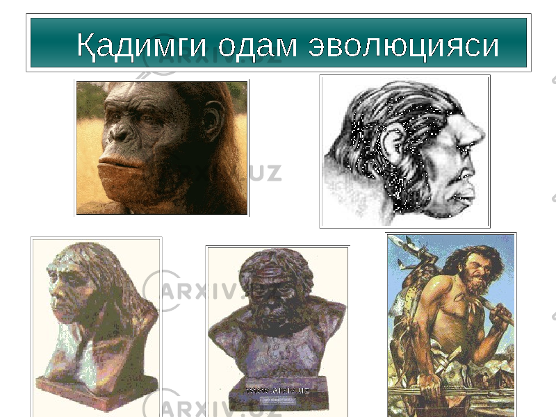  Қадимги одам э волюция си www.arxiv.uz 