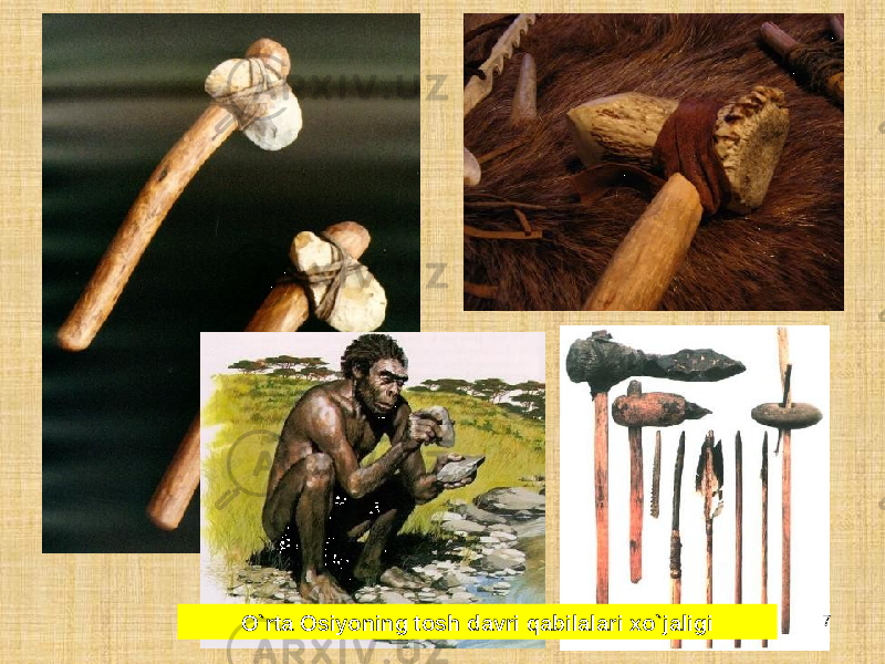 7 O`rta Osiyoning tosh davri qabilalari xo`jaligi 