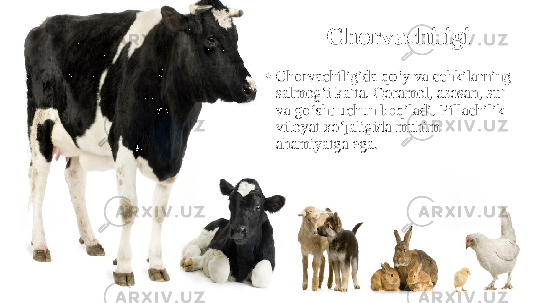 Chorvachiligi • Chorvachiligida qo‘y va echkilarning salmog‘i katta. Qoramol, asosan, sut va go‘sht uchun boqiladi. Pillachilik viloyat xo‘jaligida muhim ahamiyatga ega. 