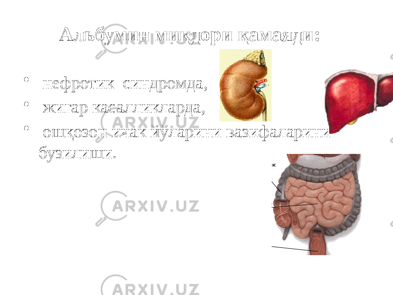 Альбумин миқдори қамаяди: • нефротик синдромда, • жигар касалликларда, • ошқозон ичак йўларини вазифаларини бузилиши. 