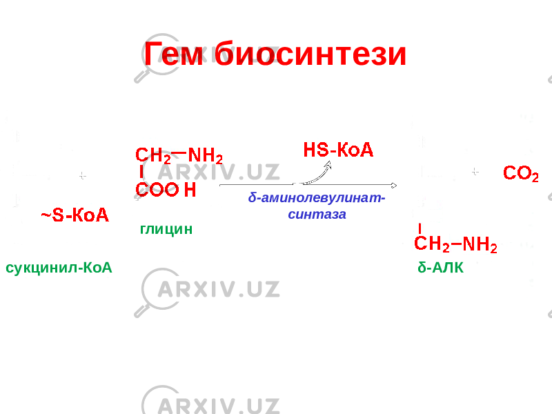 Гем биосинтези + + δ-аминолевулинат- синтаза сукцинил-КоА δ-АЛК глицин 