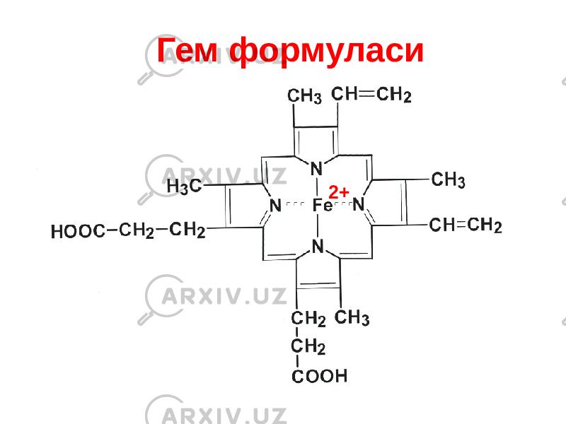 Гем формуласи 2+ … … 