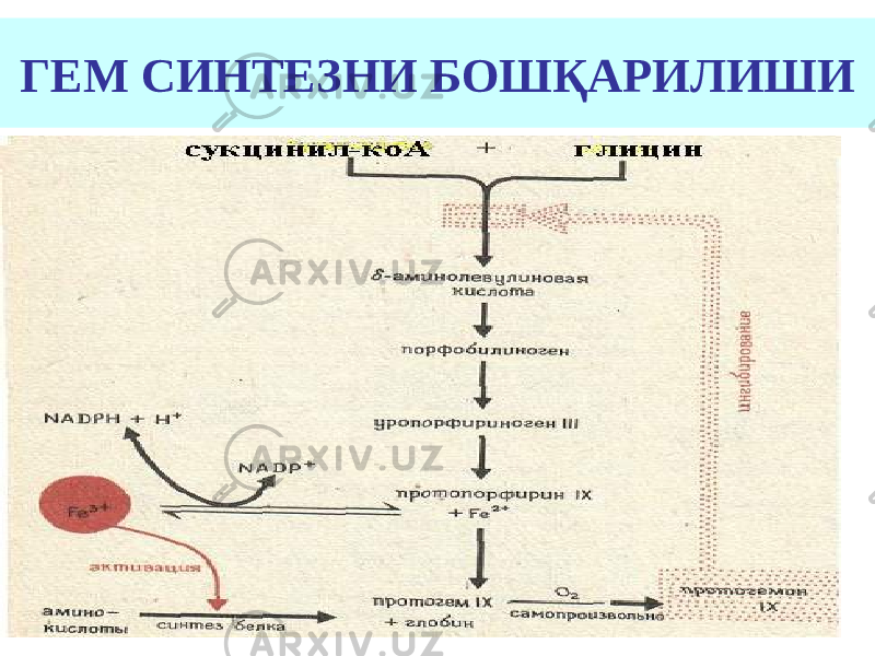 ГЕМ СИНТЕЗНИ БОШҚАРИЛИШИ 