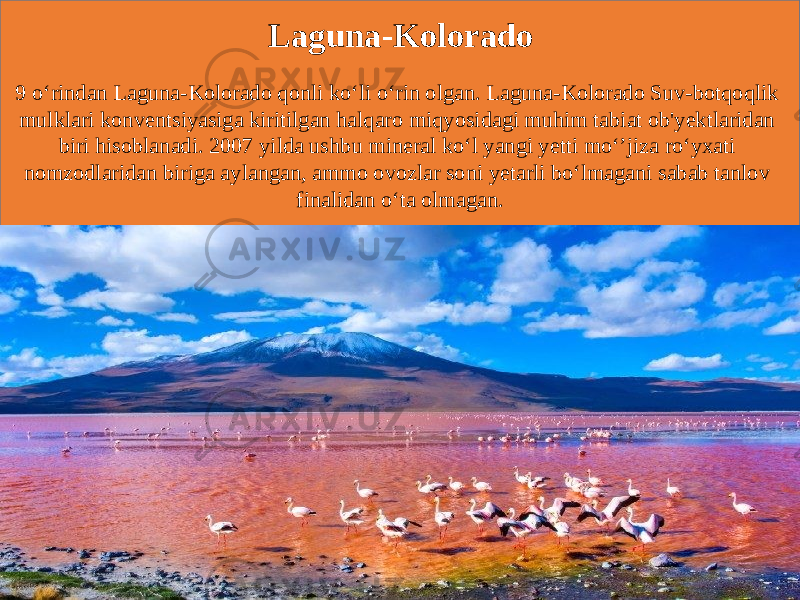 9 o‘rindan Laguna-Kolorado qonli ko‘li o‘rin olgan. Laguna-Kolorado Suv-botqoqlik mulklari konventsiyasiga kiritilgan halqaro miqyosidagi muhim tabiat ob&#39;yektlaridan biri hisoblanadi. 2007 yilda ushbu mineral ko‘l yangi yetti mo‘’jiza ro‘yxati nomzodlaridan biriga aylangan, ammo ovozlar soni yetarli bo‘lmagani sabab tanlov finalidan o‘ta olmagan. Laguna-Kolorado 